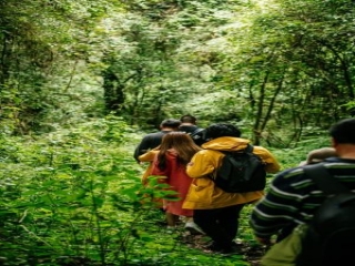 高黎貢山輕徒步